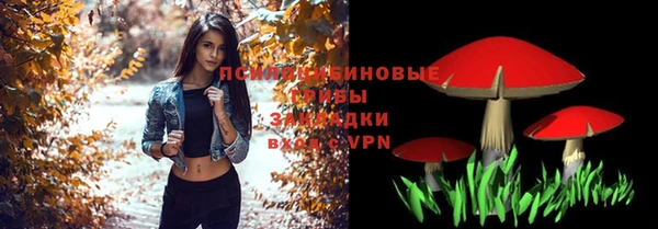 амф Аркадак