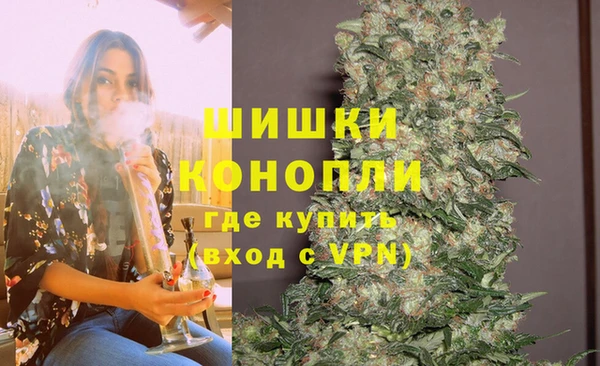 амф Аркадак