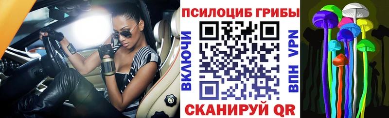 Галлюциногенные грибы GOLDEN TEACHER  продажа наркотиков  Междуреченск 